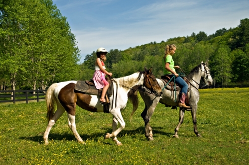 乗馬