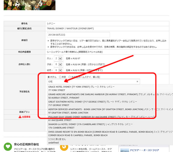 滞在先の選択でホテルを選択すると、入力ボックスが開きます。